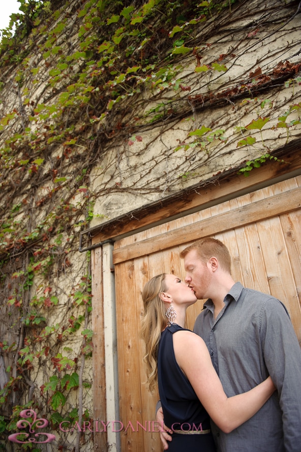 hiking trail engagement session (7)