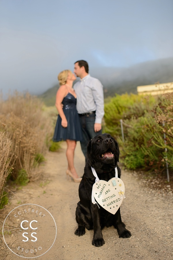crystal-cove-engagement-pictures