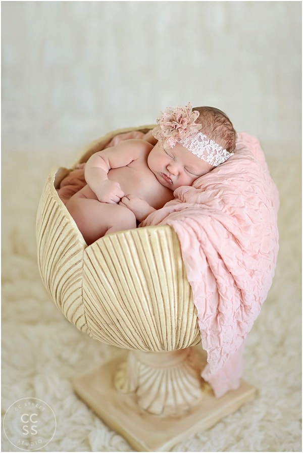 newborn-baby-prop-photography